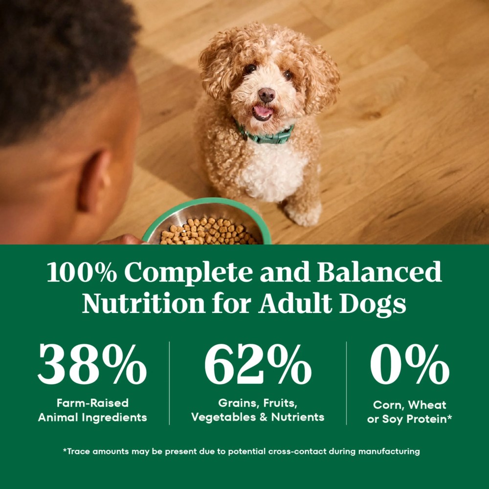 Nutro Natural Choice Adult Small Bites Dog Food Recipe Salmon & Brown Rice, 28 Lb Bag - Image 12