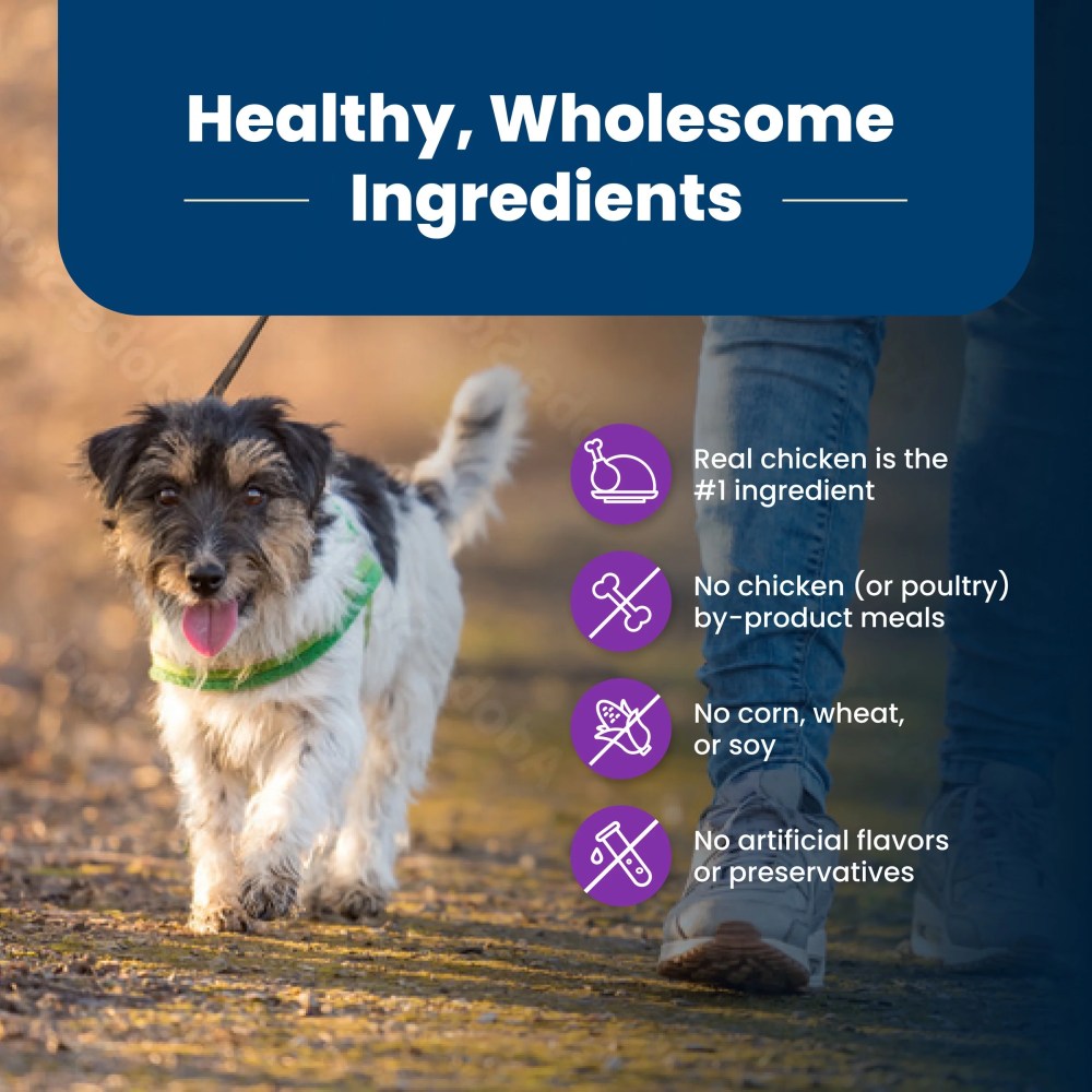 (5 pack) Blue Buffalo Life Protection Formula Toy Breed Dry Dog Food Chicken & Brown Rice 4 lbs. - Image 7