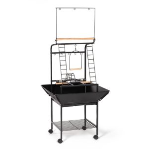 Prevue Pet Products Wrought Iron Cockatiel Parrot Playstand, Black