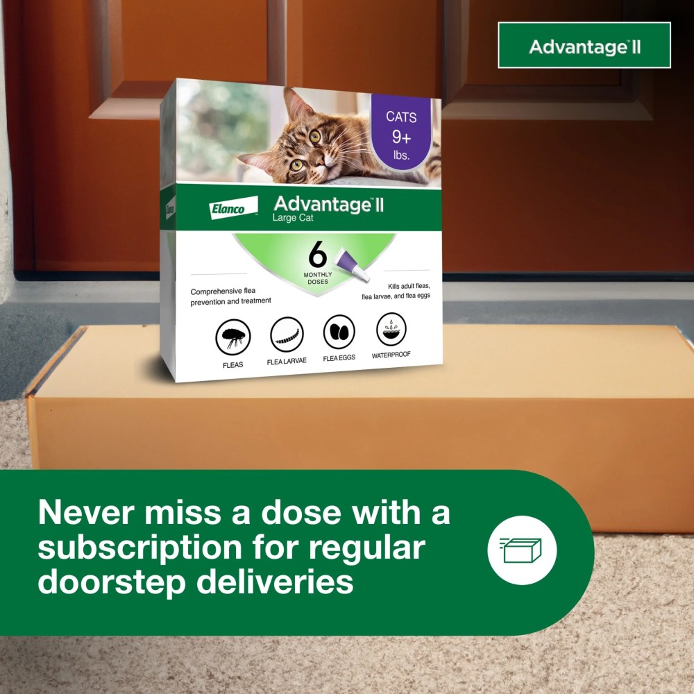 Advantage II Vet-Recommended Flea Prevention for Large Cats 9 lbs, 6-Monthly Treatments - Image 7
