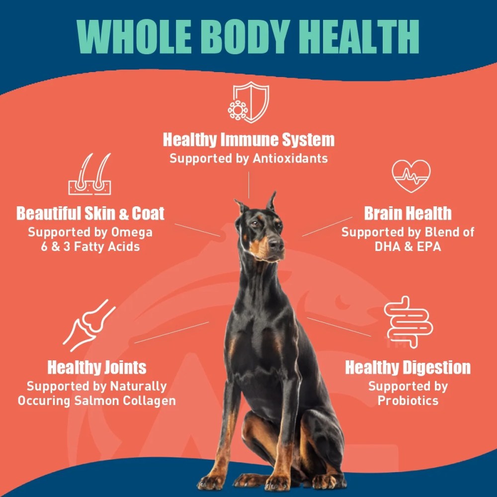 Alaskan Gold SUPER3 (SalmonFreeze Dried Raw SalmonSalmon Fish Oil) Dry Dog Food Puppy & Adult Small & Large Breed High-Protein Grain-Free All-Natural Nutrition 20-lbs - Image 4