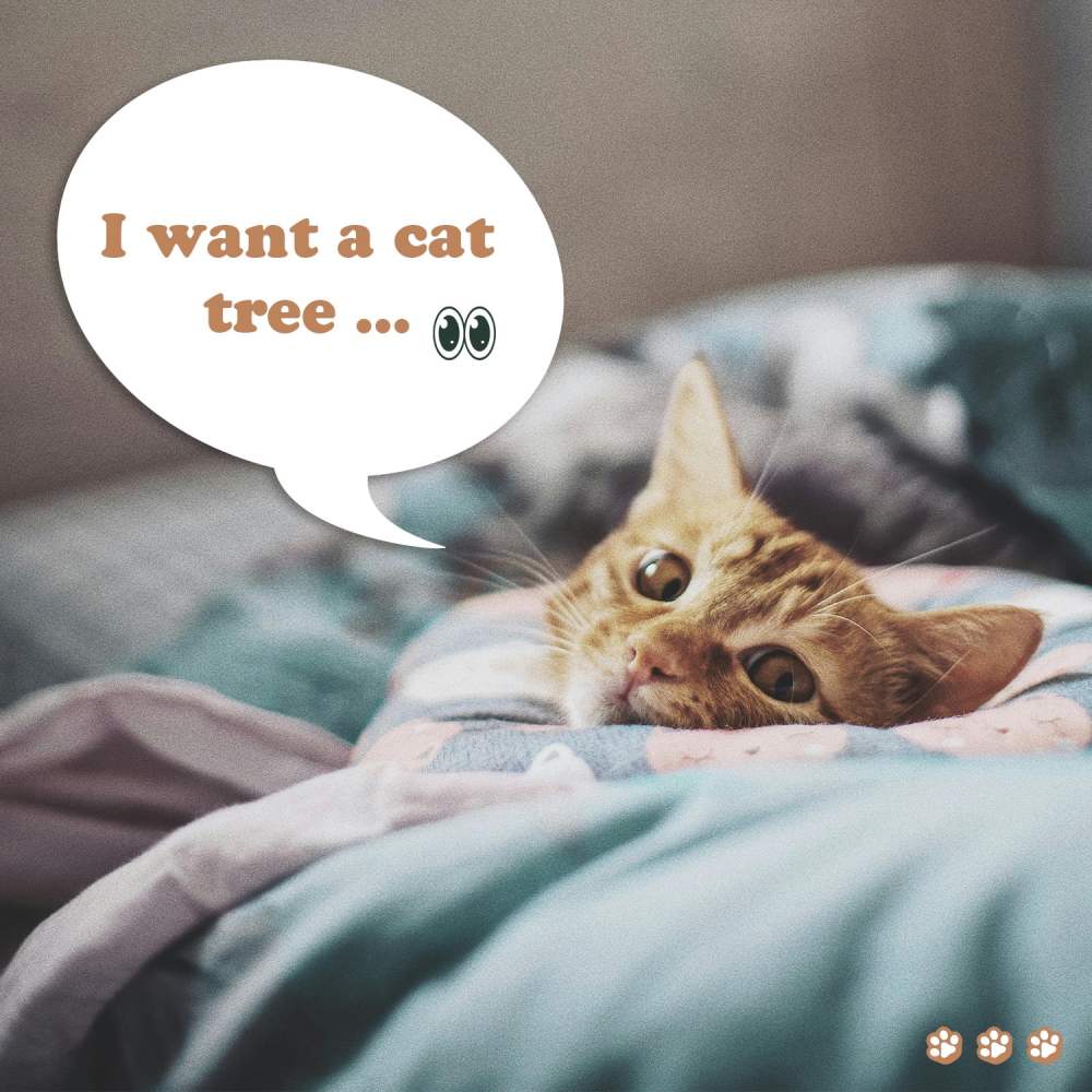 Amolife 65.7" Large Cat Tree and Tower Condo for Indoor Cats with 2 Scratching Boards, Hammock & Post, Gray - Image 11