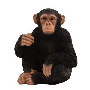 Monkey Sitting
