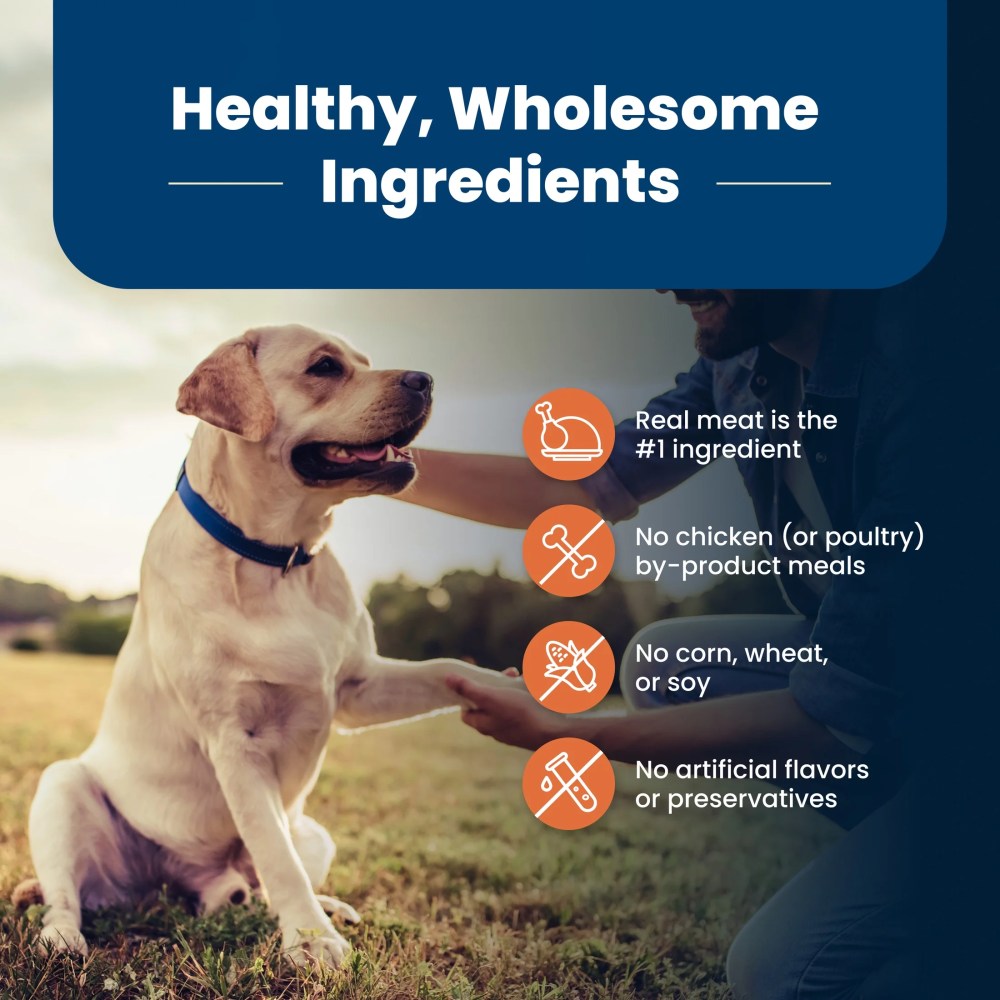 Blue Buffalo Life Protection Formula Large Breed Senior Dog Food, Chicken & Rice, 30 lbs. - Image 3