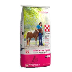 Purina Waggin' Train Mini HorsePony 50lb Textured
