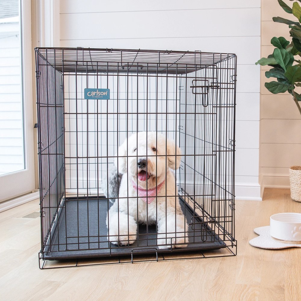 Carlson Pet Products Extra Large Secure Foldable Single Door Metal Dog Crate, Black - Image 13