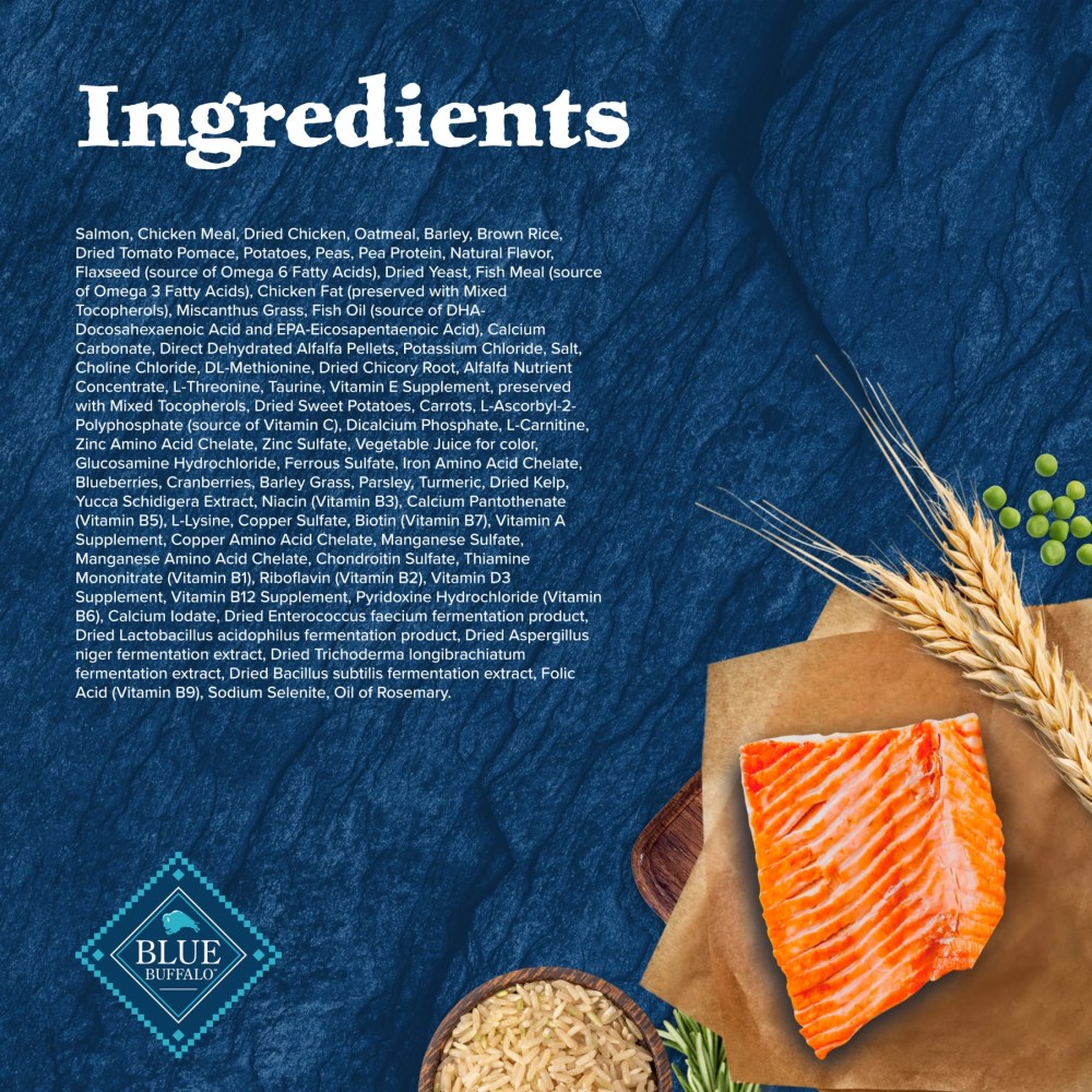 Blue Buffalo Wilderness High-Protein Natural Dry Food for Senior Dogs, Salmon Recipe, 13-lb. Bag - Image 2