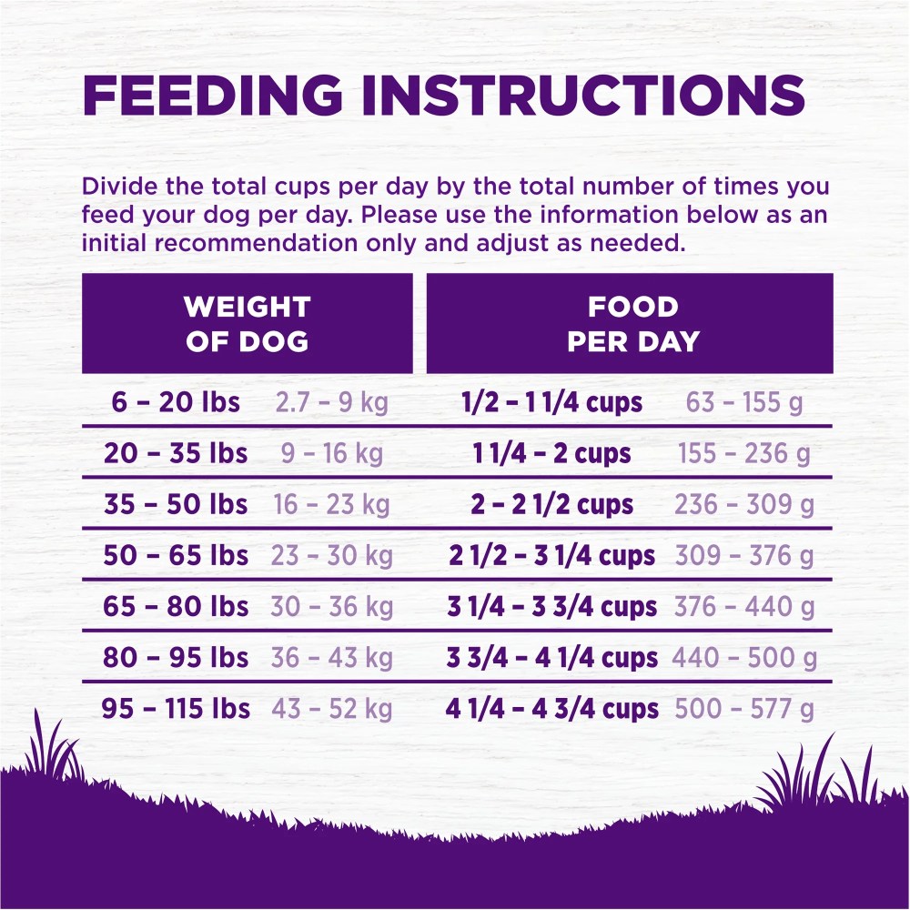 Wellness Complete Health Dry Dog Food, Grain Free, Natural, Lamb Recipe, (24-Pound Bag) - Image 9