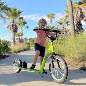 Aosom Youth Scooter Kick Scooter for Kids 5 with Adjustable Handlebar Front and Rear Dual Brakes Inflatable Wheels, Green