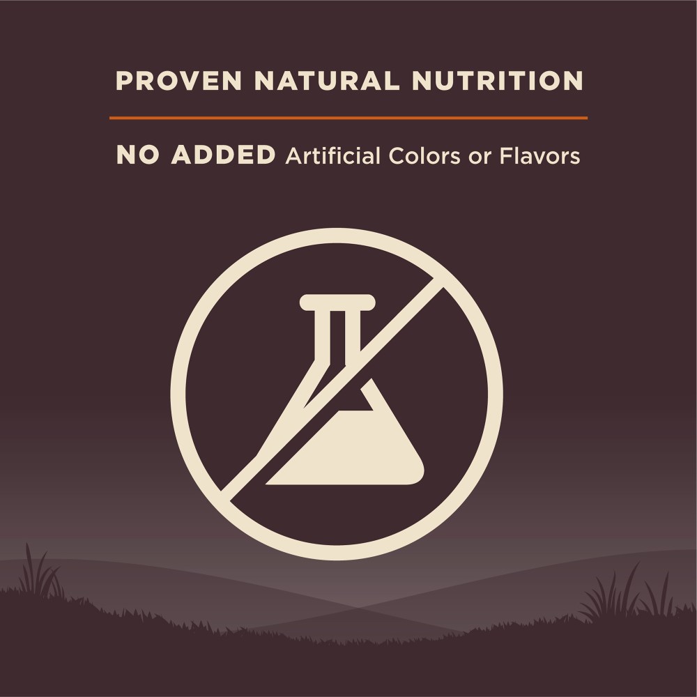Wellness CORE Dry Dog Food, Grain Free, High Protein, Natural, Original Turkey & Chicken Recipe, (26-Pound Bag) - Image 7