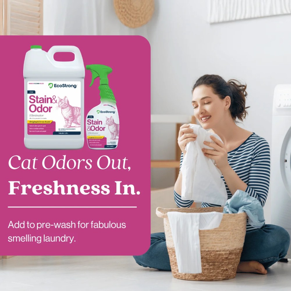 Cat Stain and Odor Remover: Enzyme Urine Odor Neutralizer - Stain Remover (32 oz and 1 Gallon) - Image 9