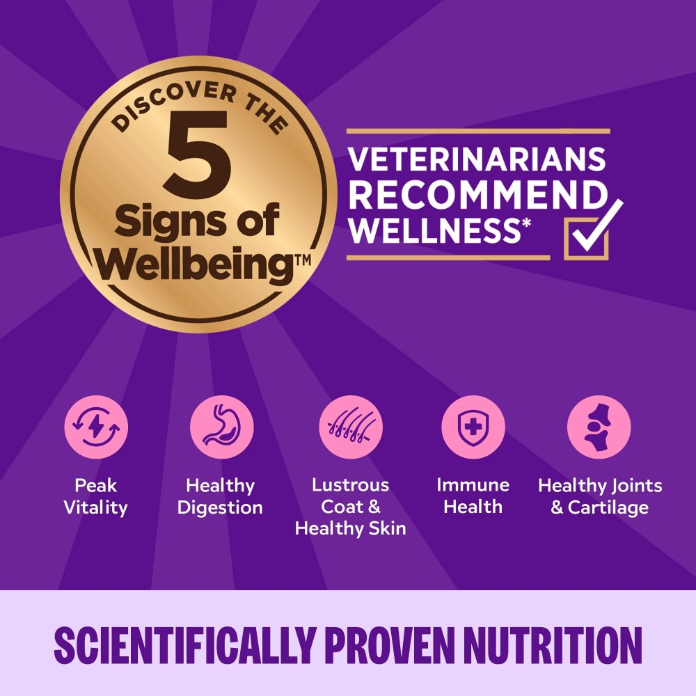 Wellness Complete Health Pate Adult Wet Cat Food, Natural, Protein-Rich, Grain Free, 12.5 Ounce, 12 Pack, (Chicken & Lobster) - Image 4