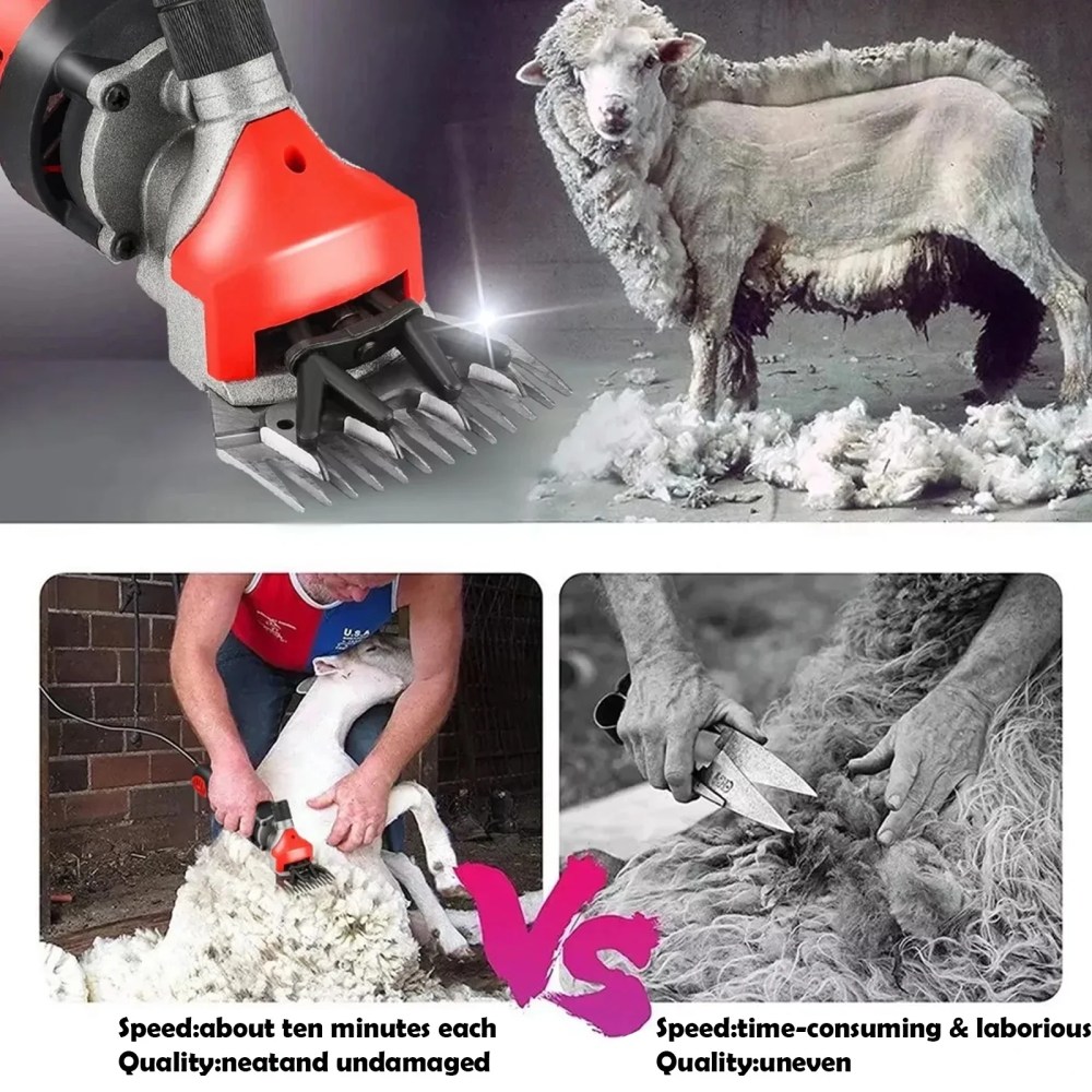 Petyoung 900W Electric Sheep Shears, 6-Speed Professional Grooming Clippers for Thick Coat Animals, Cats, Dogs, Pets - Image 11