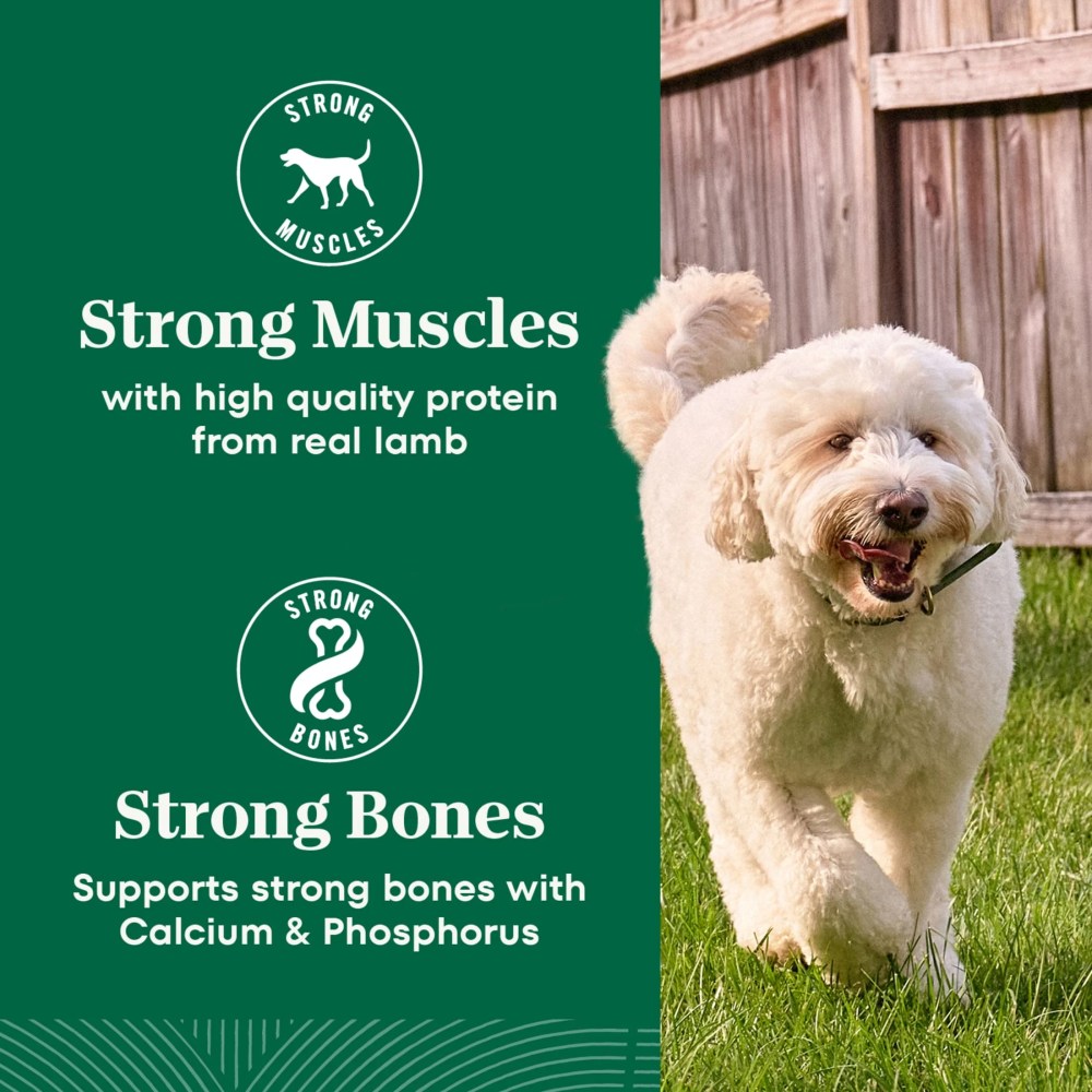 Nutro Natural Choice Adult Dry Dog Food Recipe Lamb & Brown Rice, 36 Lb Bag - Image 14