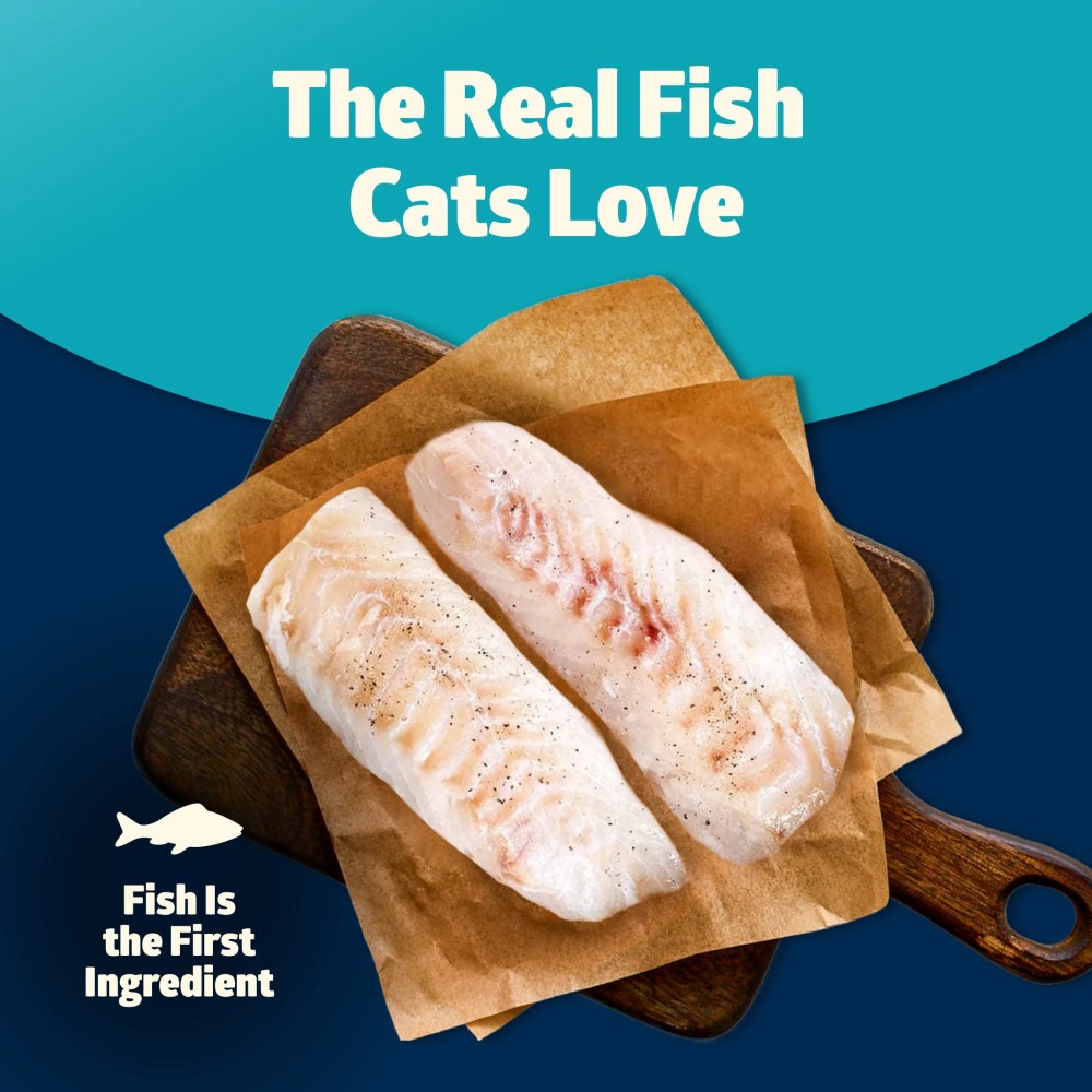 Blue Buffalo Freedom Natural Grain-Free Indoor Adult Dry Cat Food, Fish Recipe, 11-lb. Bag - Image 6