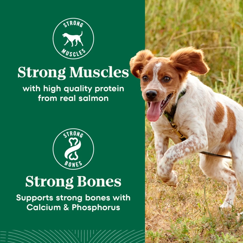 Nutro Natural Choice Adult Small Bites Dog Food Recipe Salmon & Brown Rice, 28 Lb Bag - Image 16