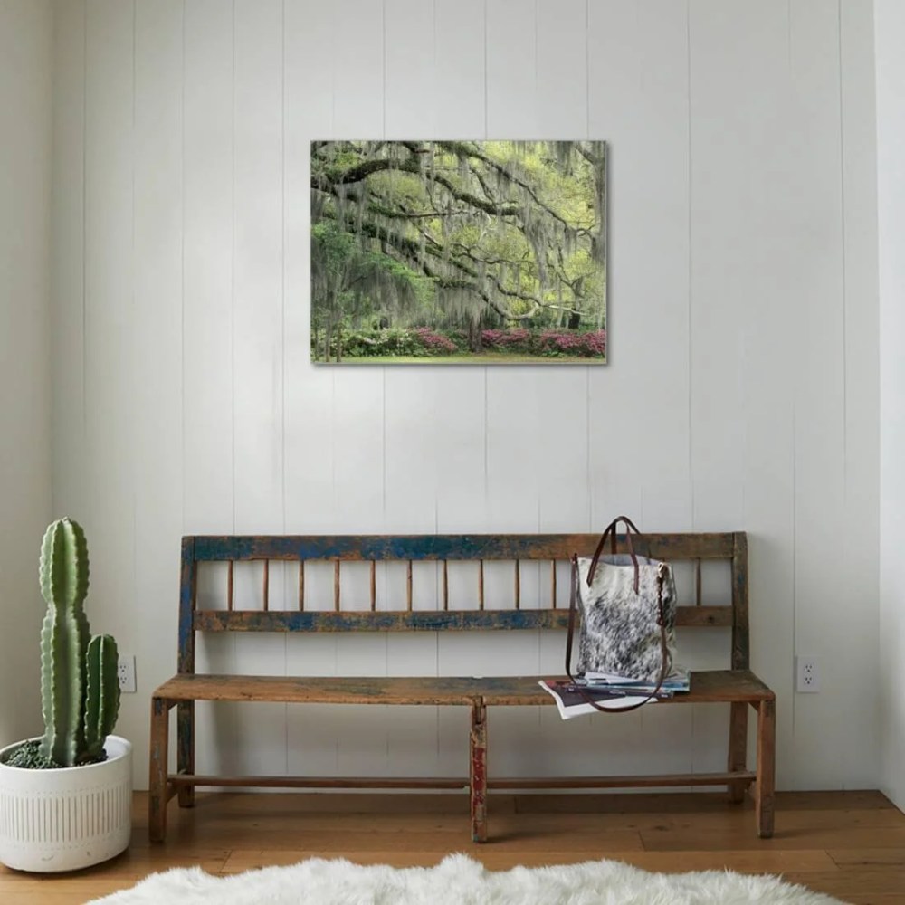 Live Oak Tree Draped with Spanish Moss, Savannah, Georgia, USA, Botanical Stretched Canvas Wall Art by Adam Jones Sold by Art.Com - Image 3
