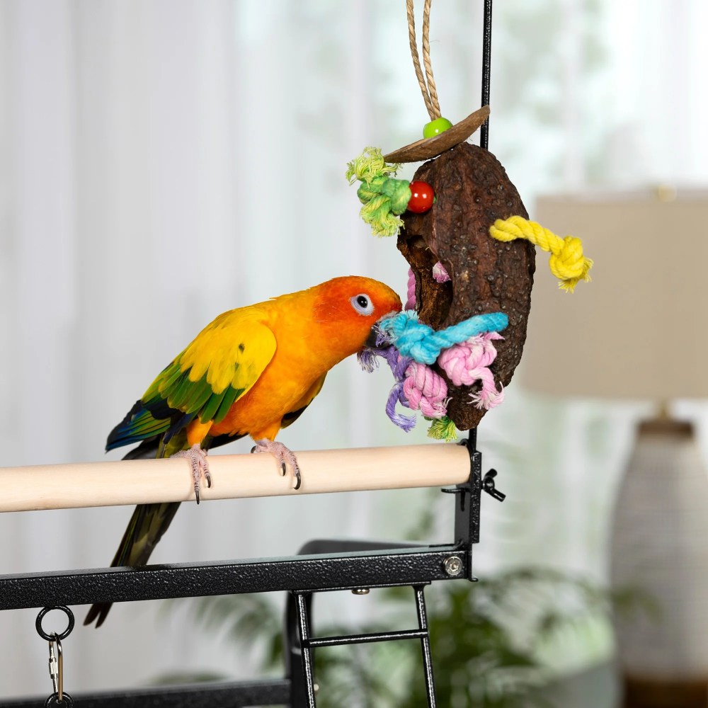 Prevue Pet Products Wrought Iron Cockatiel Parrot Playstand, Black - Image 11