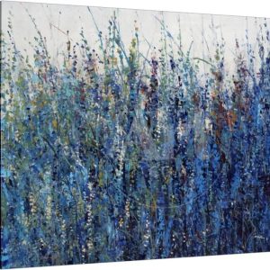 Blue Vision, Botanical Gallery-Wrapped Canvas Print Wall Art by Tim O'toole
