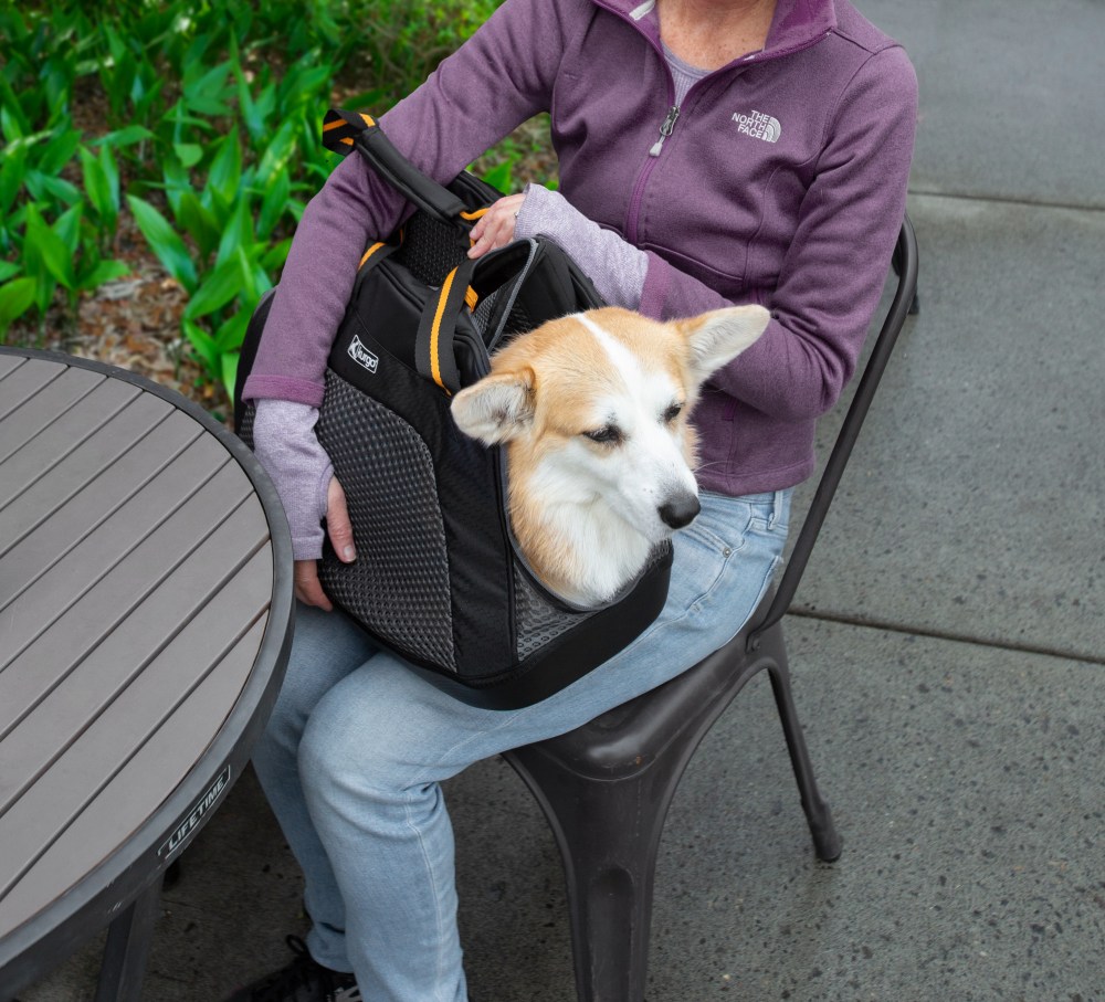 Kurgo Dog Explorer Travel Carrier, Water-Resistant, For Cats & Small Dogs Up to 20 Lbs, Black - Image 6