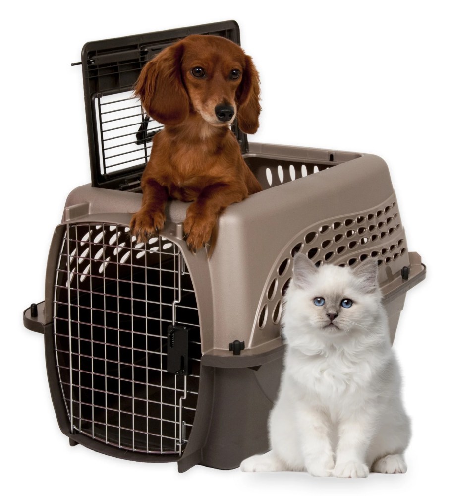 Petmate Two Door Top Load Plastic Travel Dog Kennel Pet Carrier for Dogs and Cats, Medium 24" for Pets Up To 15 lb, Pearl Tan - Image 7