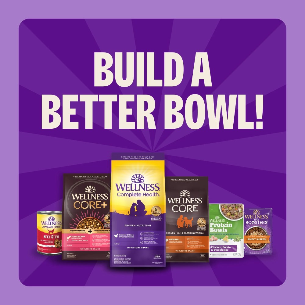 Wellness Complete Health Dry Dog Food, Wholesome Grains, Natural, Lamb & Barley Recipe, (30-Pound Bag) - Image 2