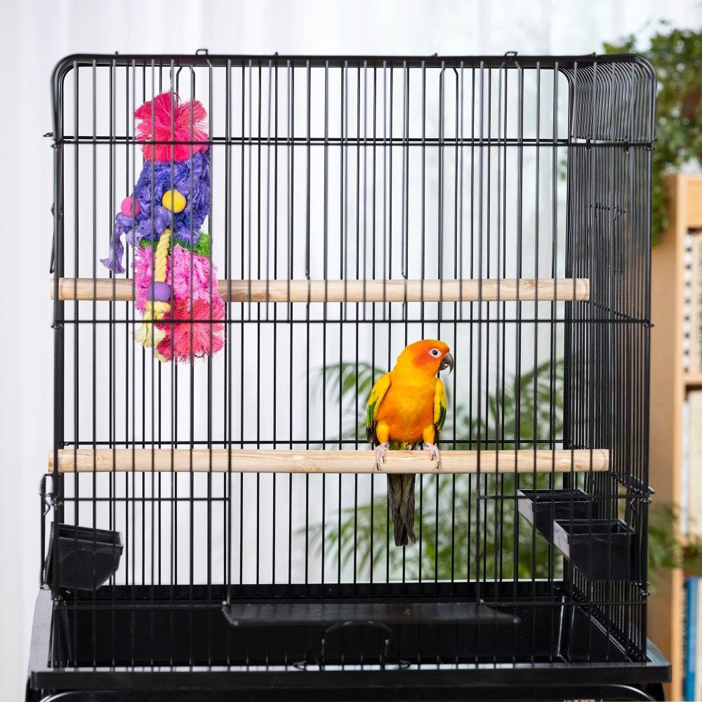 Prevue Pet Products Parrot Bird Cage - Black SP25217B/B - Image 8