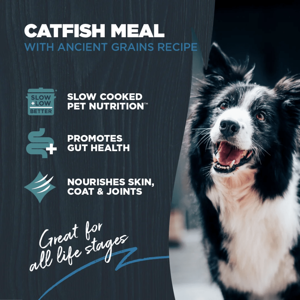 Blackwood Dry Dog Food for Sensitive Skin & Stomach, Catfish Meal with Ancient Grains, 24 lb - Image 2