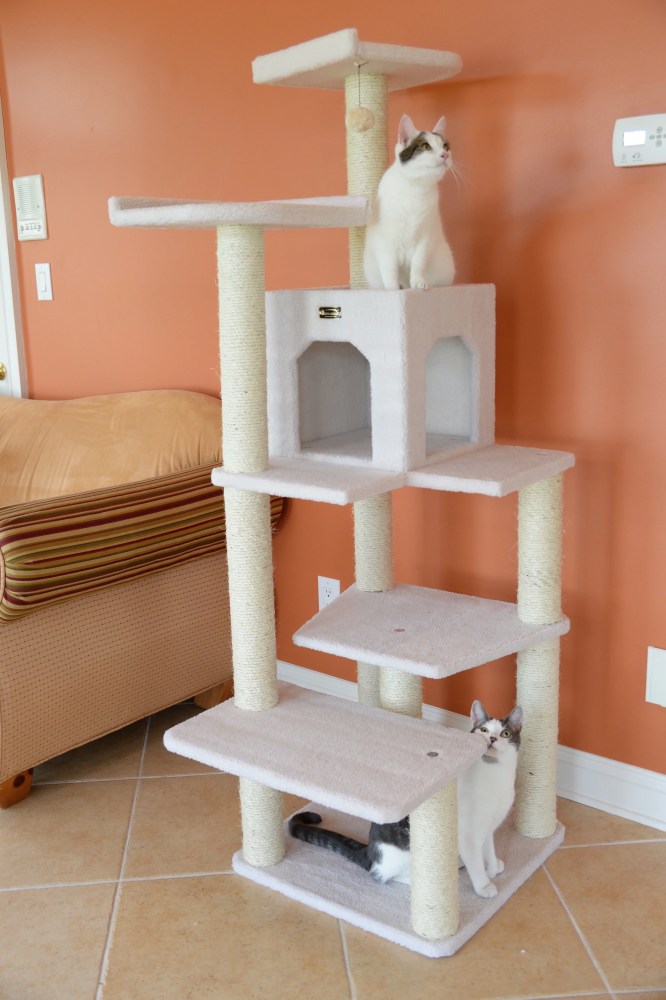 Armarkat 68-in Cat Tree & Condo Scratching Post Tower, Ivory - Image 4