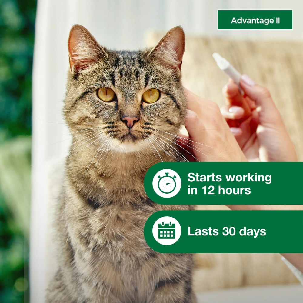 Advantage II Vet-Recommended Flea Prevention for Large Cats 9 lbs, 6-Monthly Treatments - Image 4