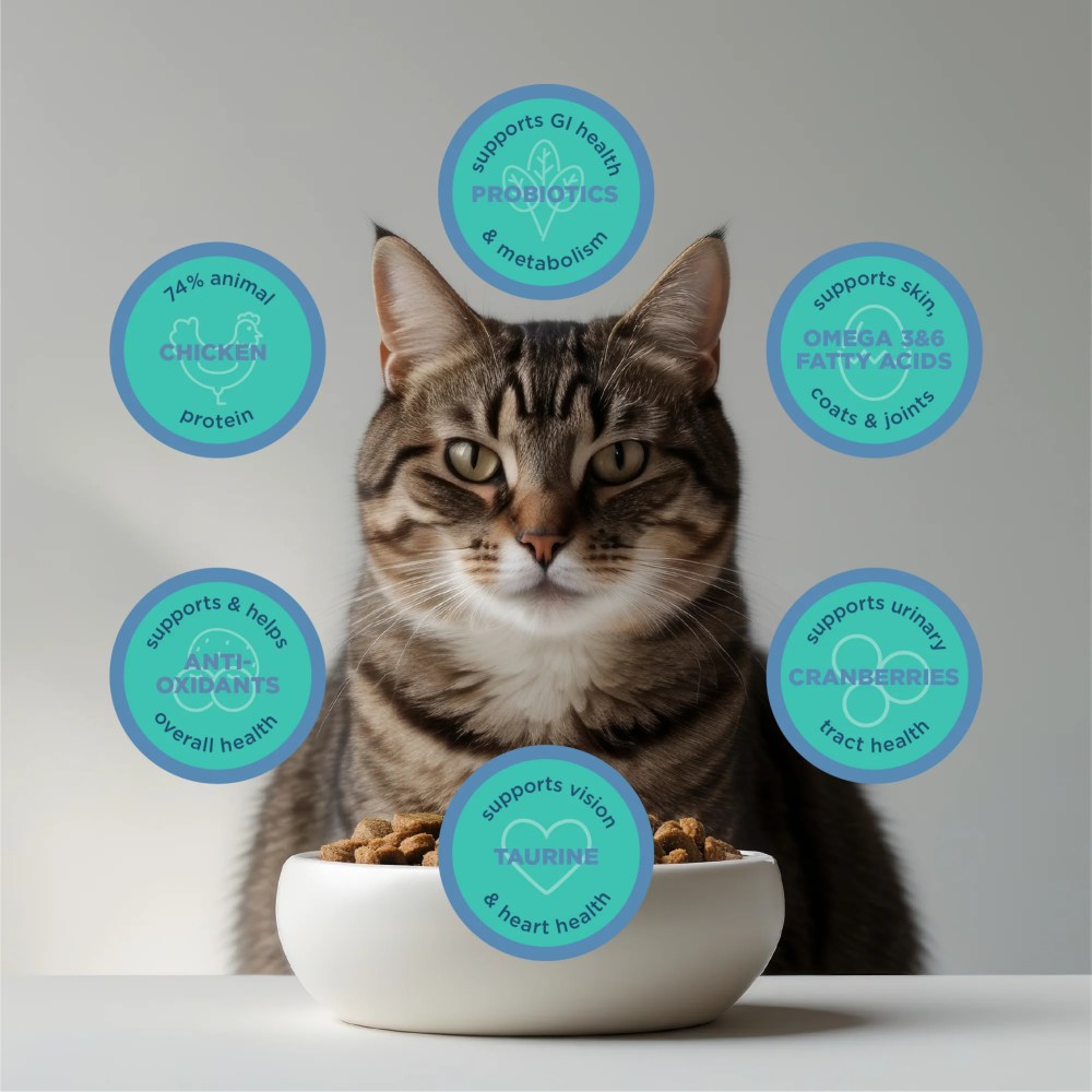 Blackwood Grain Free Cat Food Duck Meal, Salmon Meal & Field Pea 13.2 lb. - Image 5