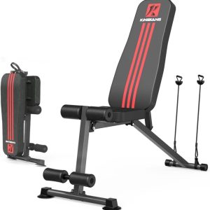 Adjustable Weight Bench,  Exercise Dumbbells Bench for Full Body Workout, Foldable Workout Bench for Home Gym