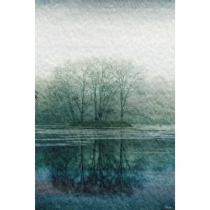 Parvez Taj Apple Lake Canvas Wall Art