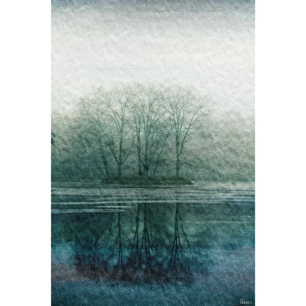Parvez Taj Apple Lake Canvas Wall Art