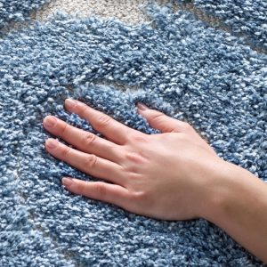 SAFAVIEH Florida Doug Floral Vines Geometric Shag Area Rug, Light Blue/Cream, 4" x 6" - Transitional Modern Design, Light Blue & Cream, Non-Shedding & Easy Cleaning, Ultra Plush Thick Pile, Ideal for