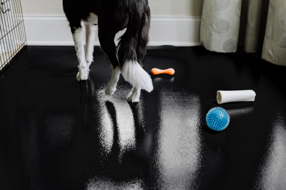 G-Floor 5" x 10" Polyvinyl Ceramic Pet Friendly Carpet Protector for Dogs and Cats - Midnight Black - Image 3