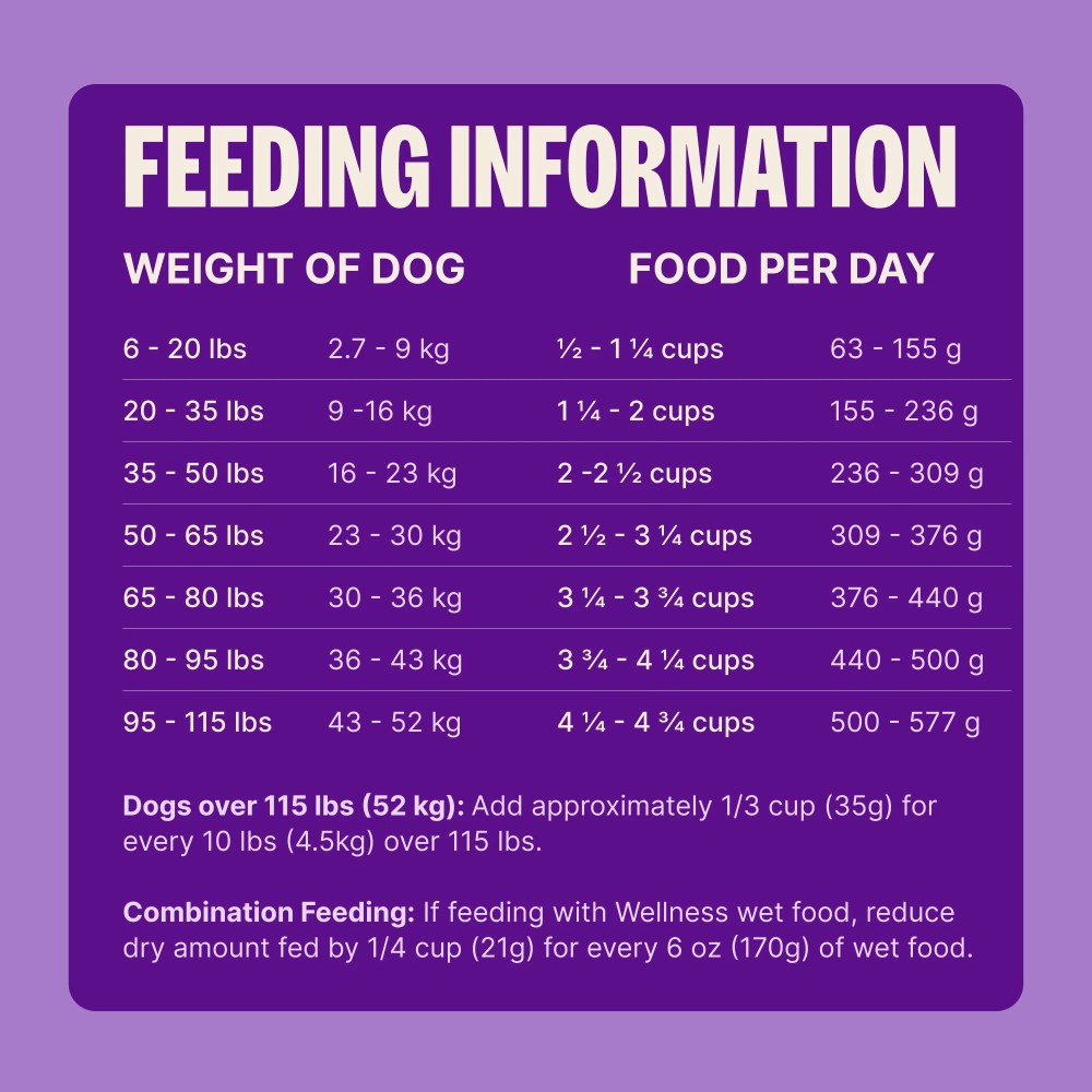 Wellness Complete Health Dry Dog Food, Grain Free, Natural, Lamb Recipe, (24-Pound Bag) - Image 7