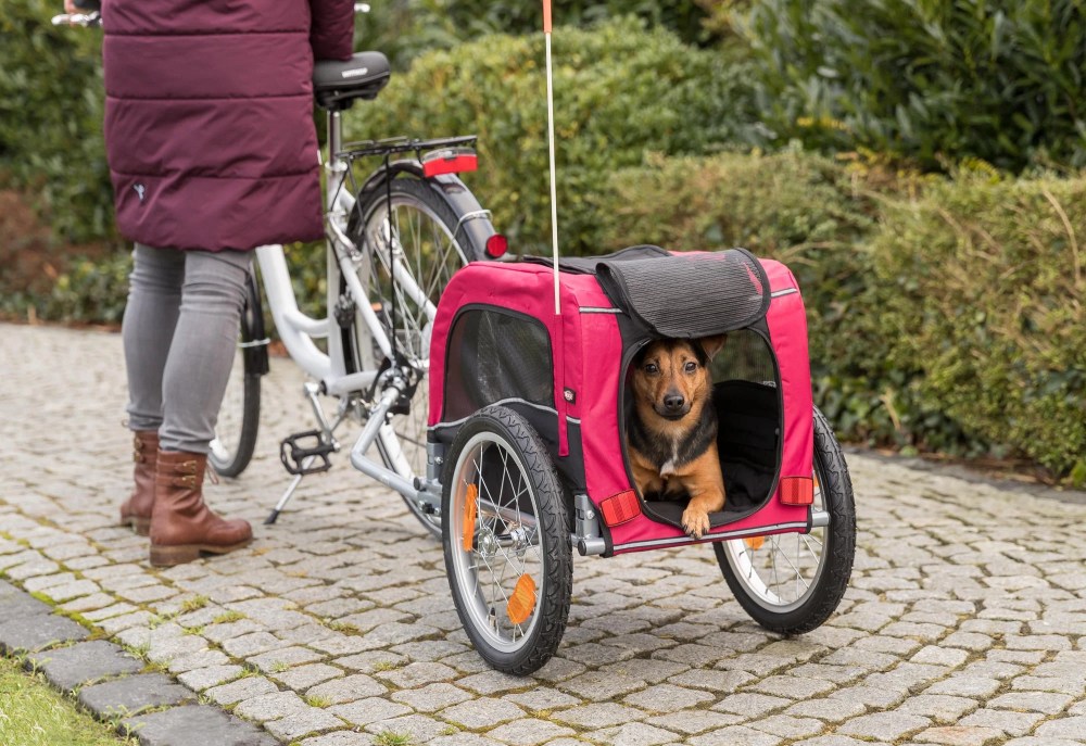 TRIXIE Foldable 2-in-1 Bicycle Trailer for Small Dogs with Windows & Large Door, Black & Red - Image 2