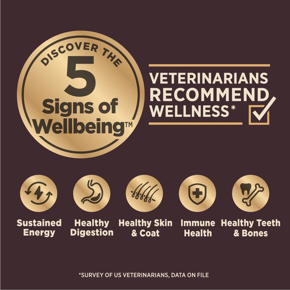 Wellness CORE Digestive Health Small Breed Adult Dry Dog Food, Wholesome Grain Kibble, Sensitive Stomach, Natural, High Protein, Chicken Recipe, 12 lb Bag - Image 5
