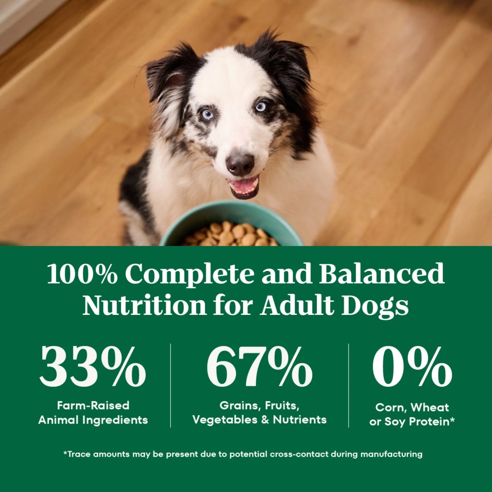 NUTRO NATURAL CHOICE Adult Healthy Weight Dry Dog Food, Chicken & Brown Rice Recipe Dog Kibble, 30 lb. Bag - Image 6