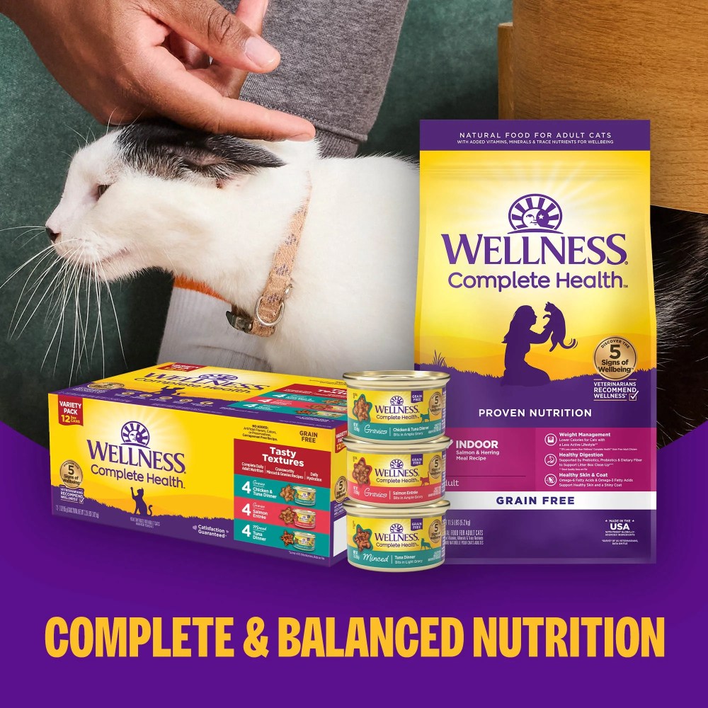 Wellness Complete Health Morsels Adult Canned Wet Cat Food, Natural, Protein Rich, Grain Free, Turkey Dinner Recipe, 5.5 oz, Pack of 24 Cans - Image 8