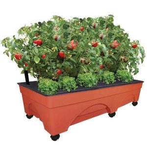 Emsco Group 48"x 20"x 12" Green UV-Protected Resin Planter Box with Self-Watering System
