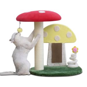 PetPals Mushroom Cat Perch Tree with Grooming Brush and Spring Flower Toy,  For Indoor Small Cat
