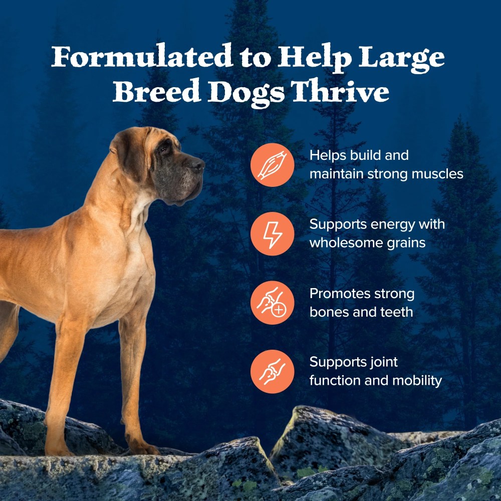 Blue Buffalo Wilderness Large Breed Dry Dog Food Plus Wholesome Grains, Chicken, 24 lbs. - Image 2