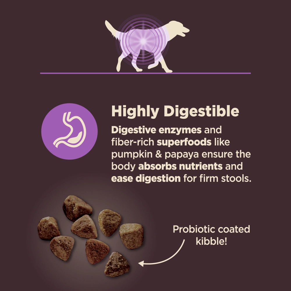 Wellness CORE Digestive Health Age Advantage Senior Dry Dog Food, Wholesome Grain Kibble, Sensitive Stomach, Natural, High Protein, Chicken and Brown Rice Recipe, 24 lb Bag - Image 2