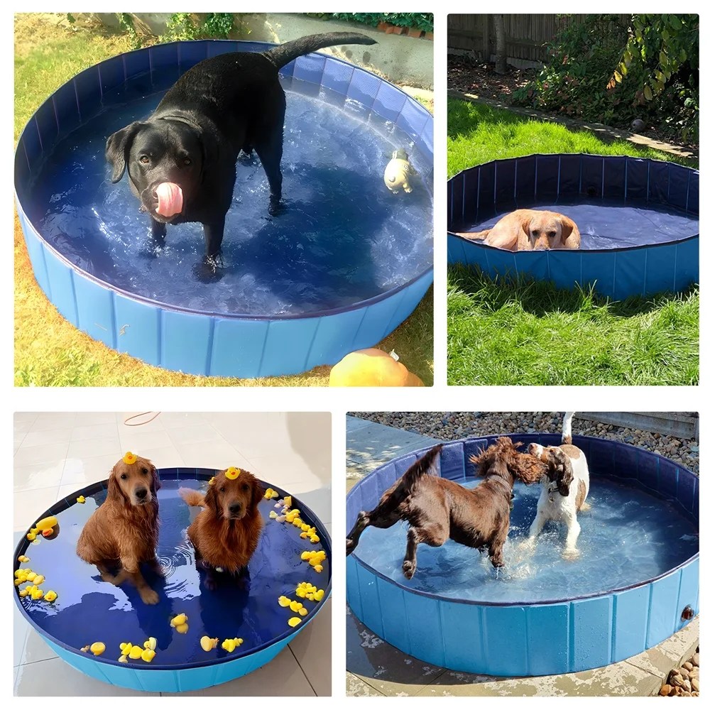 Alden Design 63" Foldable Pet Swimming Pool for Indoor and Outdoor, Blue - Image 4