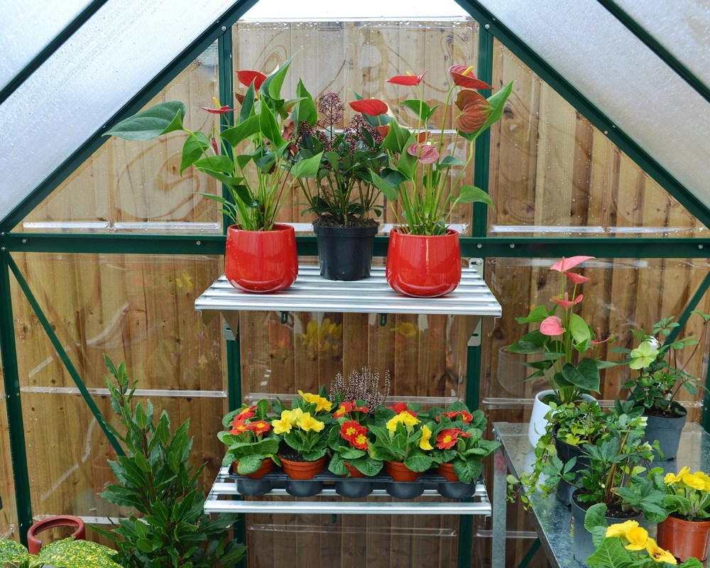 Palram - Canopia Hybrid 6" x 4" Polycarbonate/Aluminum Walk-In Greenhouse-Green - with Roof Vent - Image 5