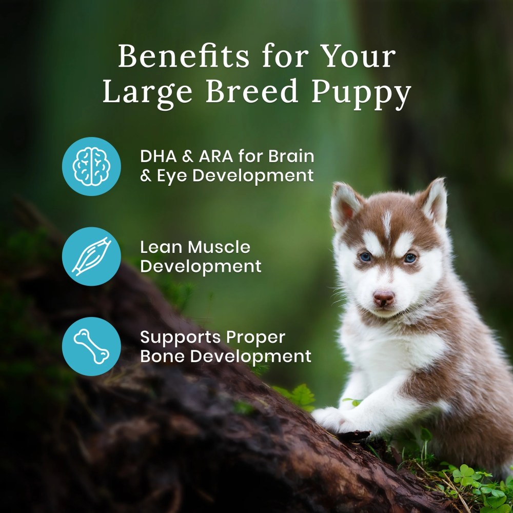 Blue Buffalo Wilderness Natural High-Protein Dry Food for Large Breed Puppies, Chicken, 28-lb bag. - Image 5