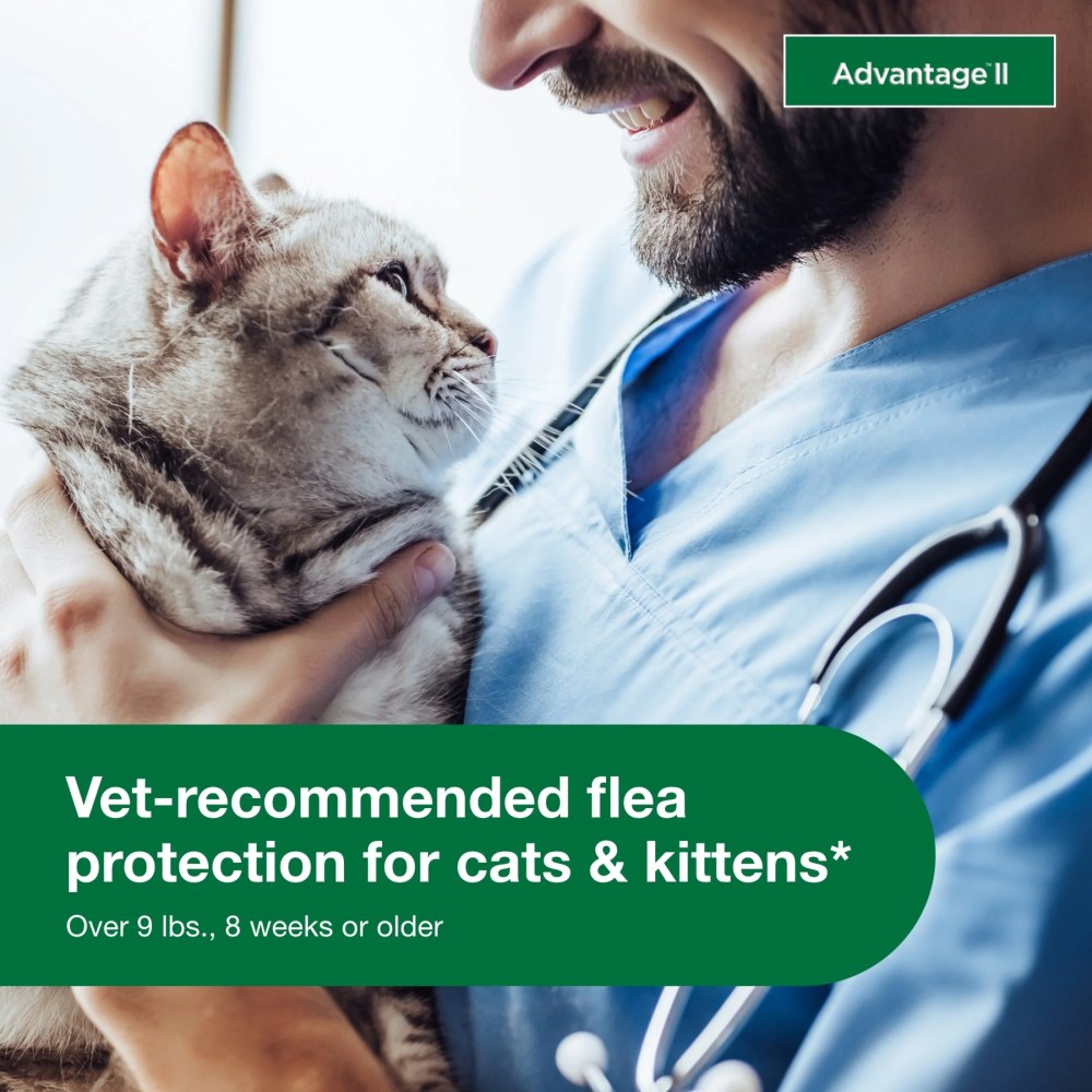 Advantage II Vet-Recommended Flea Prevention for Large Cats 9 lbs, 6-Monthly Treatments - Image 6
