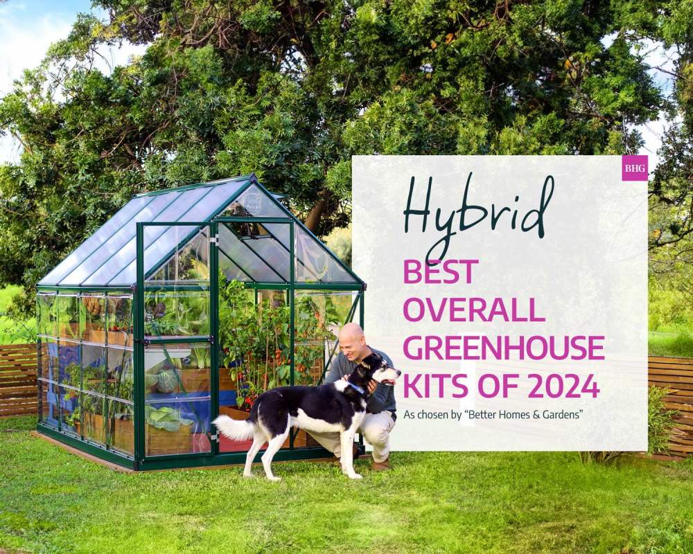 Palram - Canopia Hybrid 6" x 4" Polycarbonate/Aluminum Walk-In Greenhouse-Green - with Roof Vent - Image 10